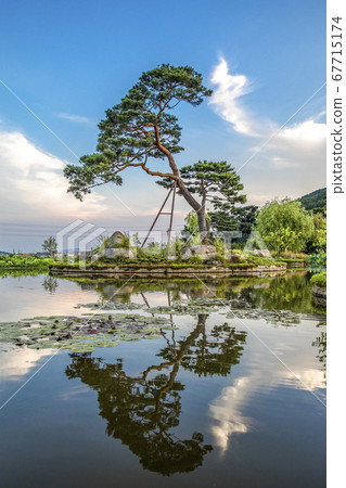 Nampyeongmun's main dish 67715174