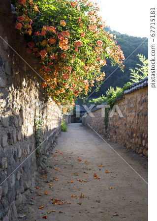 南平門的主菜 67715181