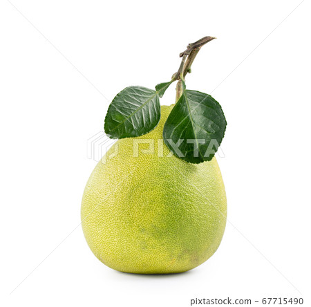 Pomelo mid-autumn festival white background go back pomelo isolated clipping path 切り抜き 67715490