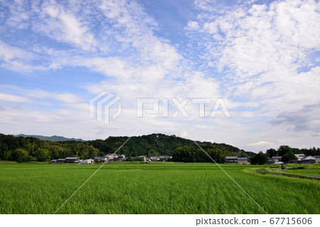 Kakuyama在天堂 67715606