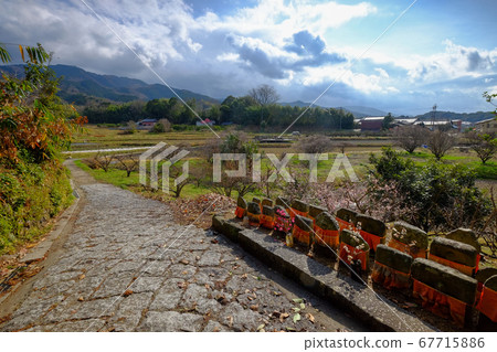 Jizo on the road by the mountain (Tenri, Nara) Jizo on the road by the mountain (Tenri, Nara) 67715886