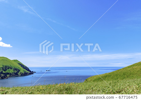 北海道，禮文島，稻荷岬 67716475