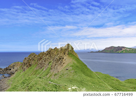 北海道,禮文島,稻荷岬 北海道,禮文島,稻荷岬 67716499