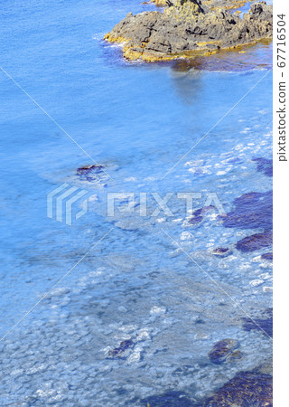 北海道，禮文島，稻荷岬 67716504