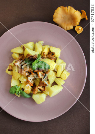 Dish with fried mushrooms and potatoes seasoned with sauce Dish with fried mushrooms and potatoes seasoned with sauce 67717038