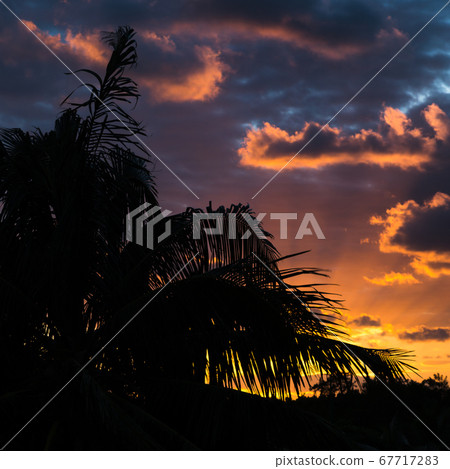 Colours of the Cuban sunset 67717283