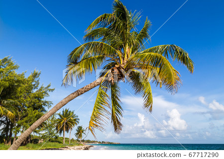 Cayo Coco beach 67717290