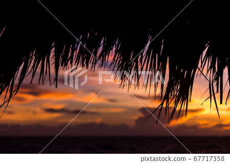 Caribbean sunrise 67717358