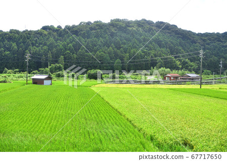 從下關站到德山站的山陽本線窗口風景 67717650