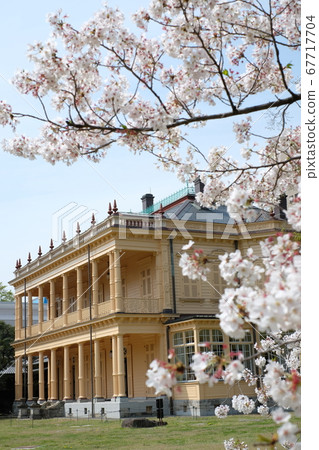 春天的前岩崎故居花園 67717704