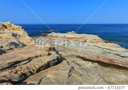 [和歌山縣]千疊敷在晴朗的天空下（白濱南樹） 67718377