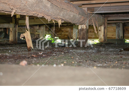 Underfloor of an old folk house damaged by termites 67718609