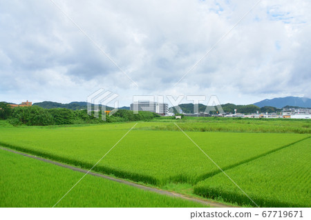 Scenery from the Kagoshima Main Line train window from Hakata Station to Kokura Station Scenery from the Kagoshima Main Line train window from Hakata Station to Kokura Station 67719671