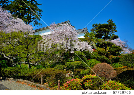 小田原城・從花園裡可以看到常盤燒門，讓您感受到江戶的春天的風景（1）・櫻花季節・盛開・神奈川縣 67719766