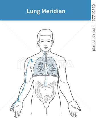 Illustration of the conception of the urethra 67719860