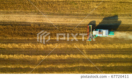Aerial view of wheat harvest. Drone shot flying over three combine harvesters working on wheat field. 67720411
