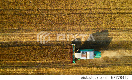 Aerial view of wheat harvest. Drone shot flying over three combine harvesters working on wheat field. 67720412