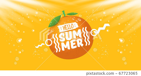 Vector Hello Summer horizontal banner or flyer Design template with fresh orange fruit isolated on orange background with lights. Hello summer concept label or poster with fruit and letternig text 67723065