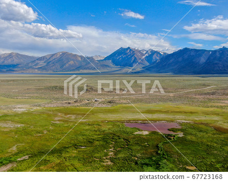 Cows cattle grazing on a mountain pasture next the Lake Crowley 67723168