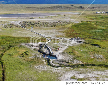 Cows cattle grazing on a mountain pasture next the Lake Crowley Cows cattle grazing on a mountain pasture next the Lake Crowley 67723174