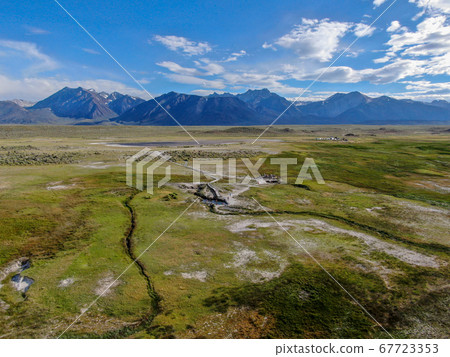 Cows cattle grazing on a mountain pasture next the Lake Crowley 67723353