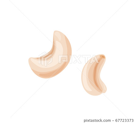 Two cashews nuts in bright color cartoon flat style isolated on white background. Healthy food vector illustration. Organic meal concept Two cashews nuts in bright color cartoon flat style isolated on white background. Healthy food vector illustration. Organic meal concept 67723373