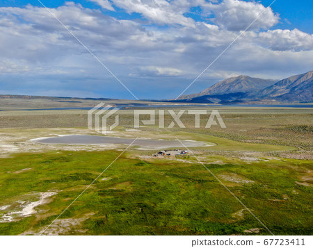 Cows cattle grazing on a mountain pasture next the Lake Crowley 67723411