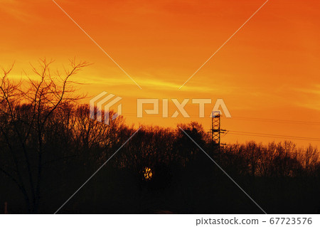 Sunset sky. Late orange sun with trees silhouettes Sunset sky. Late orange sun with trees silhouettes 67723576