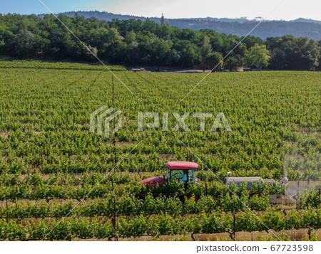Farm tractor spraying pesticides and insecticides herbicides over green vineyard field. Farm tractor spraying pesticides and insecticides herbicides over green vineyard field. 67723598