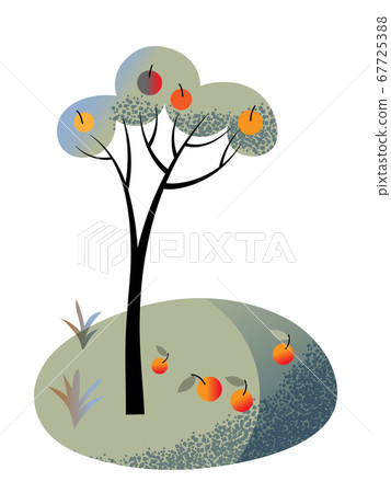 Apple tree and fruit on branch, ground in garden 67725388
