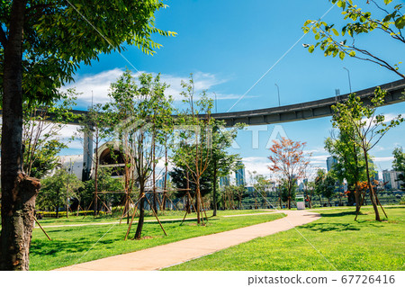 Ttukseom Hangang Park at summer in Seoul, korea Ttukseom Hangang Park at summer in Seoul, korea 67726416