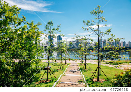 Ttukseom Hangang Park at summer in Seoul, korea Ttukseom Hangang Park at summer in Seoul, korea 67726418