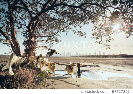 Plastic Pollution And Waste Contamination On Seashore Plastic Pollution And Waste Contamination On Seashore 67727201
