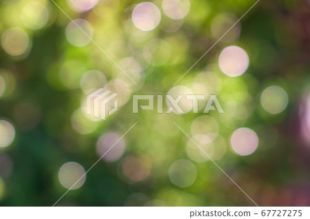 Abstract natural green bokeh background, blurred Abstract natural green bokeh background, blurred 67727275