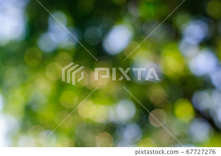 Abstract natural green bokeh background, blurred Abstract natural green bokeh background, blurred 67727276