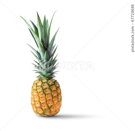 single whole pineapple on white background single whole pineapple on white background 67728686