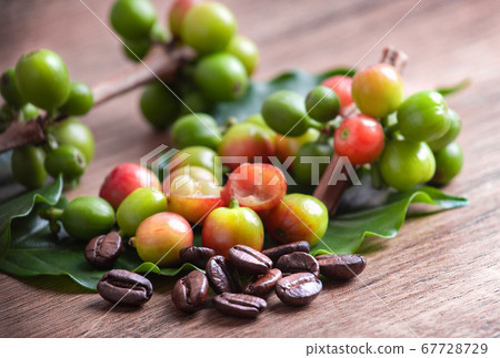 coffee beans and leaf on wooden coffee beans and leaf on wooden 67728729