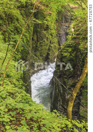 Gunma, Azuma Valley 67728783