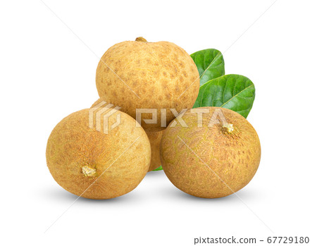 Longan with leaf isolated on white Longan with leaf isolated on white 67729180