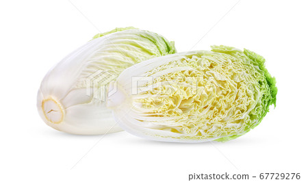 Fresh chinese cabbage on white background 67729276