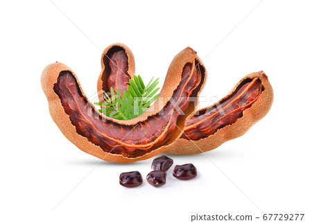 tamarind isolated on white background tamarind isolated on white background 67729277