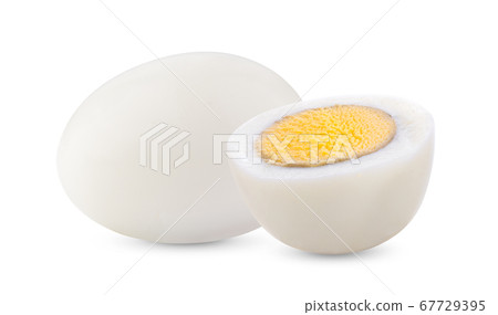 boiled egg on white background full depth of field boiled egg on white background full depth of field 67729395