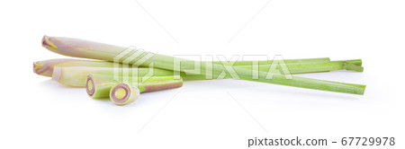 fresh Lemongrass on white background fresh Lemongrass on white background 67729978