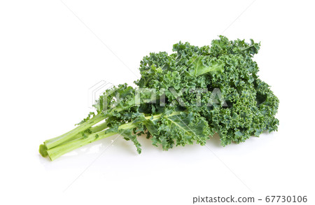 kale leaves on white background full depth of kale leaves on white background full depth of 67730106