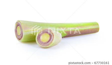 slice of fresh Lemongrass isolated on white slice of fresh Lemongrass isolated on white 67730161