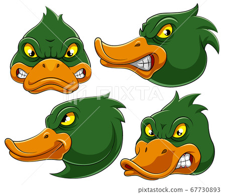 Set collection of angry duck Mascot of illustration 67730893