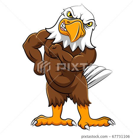Angry eagle in standing pose of illustration 67731106