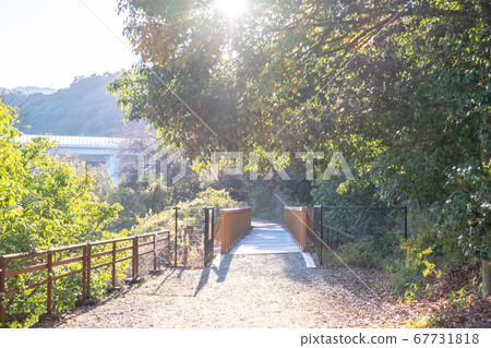 陽光照耀下的小路通往一座橋 67731818