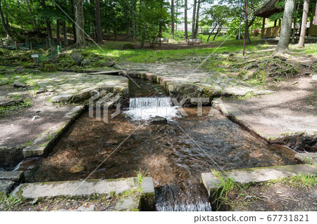 One third spring 67731821