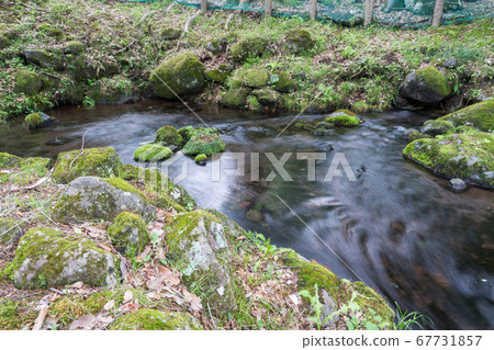 One third spring One third spring 67731857